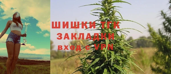 меф Арсеньев