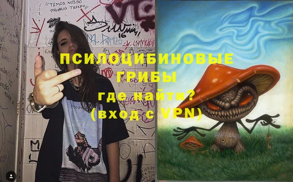 меф Арсеньев